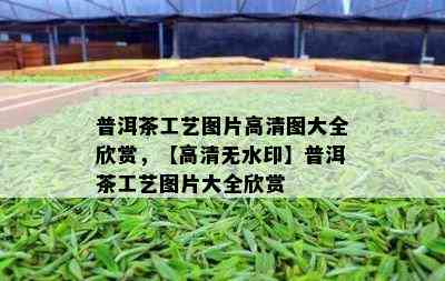 普洱茶工艺图片高清图大全欣赏，【高清无水印】普洱茶工艺图片大全欣赏