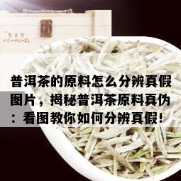 普洱茶的原料怎么分辨真假图片，揭秘普洱茶原料真伪：看图教你如何分辨真假！