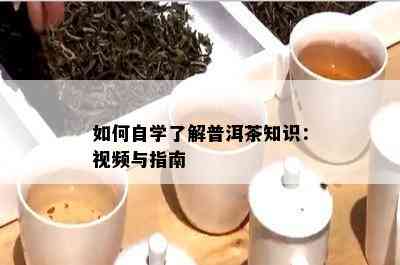 如何自学了解普洱茶知识：视频与指南