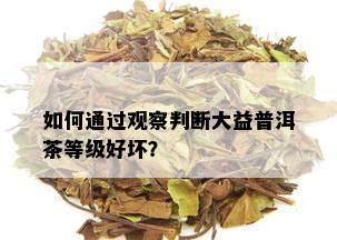 如何通过观察判断大益普洱茶等级好坏？