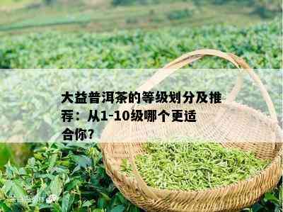 大益普洱茶的等级划分及推荐：从1-10级哪个更适合你？