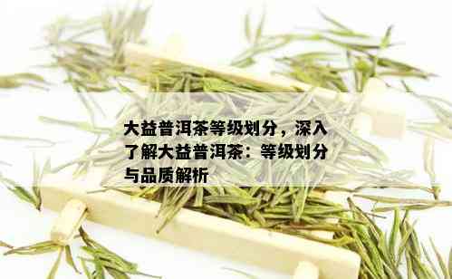 大益普洱茶等级划分，深入了解大益普洱茶：等级划分与品质解析