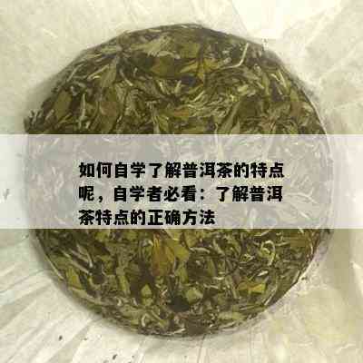 如何自学了解普洱茶的特点呢，自学者必看：了解普洱茶特点的正确方法