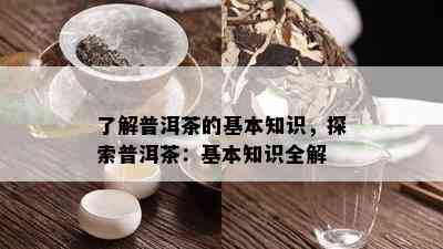 了解普洱茶的基本知识，探索普洱茶：基本知识全解