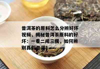 普洱茶的原料怎么分辨好坏视频，揭秘普洱茶原料的好坏：一看二闻三摸，如何辨别真假普洱？