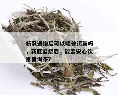 新冠退烧后可以喝普洱茶吗，新冠退烧后，能否安心饮用普洱茶？