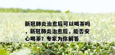 新冠肺炎治愈后可以喝茶吗，新冠肺炎治愈后，能否安心喝茶？专家为你解答