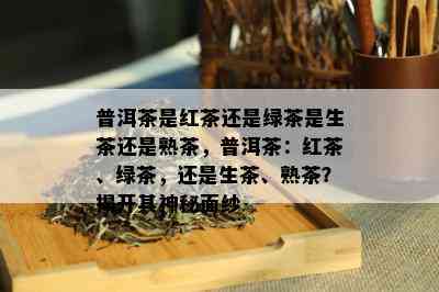 普洱茶是红茶还是绿茶是生茶还是熟茶，普洱茶：红茶、绿茶，还是生茶、熟茶？揭开其神秘面纱