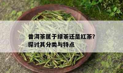 普洱茶属于绿茶还是红茶？探讨其分类与特点