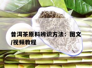 普洱茶原料辨识方法：图文/视频教程