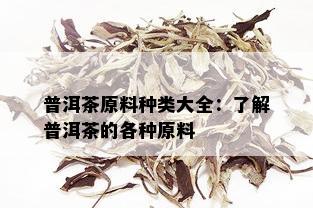 普洱茶原料种类大全：了解普洱茶的各种原料