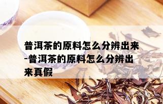 普洱茶的原料怎么分辨出来-普洱茶的原料怎么分辨出来真假