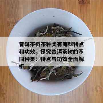 普洱茶树茶种类有哪些特点和功效，探究普洱茶树的不同种类：特点与功效全面解析