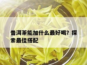 普洱茶能加什么更好喝？探索更佳搭配