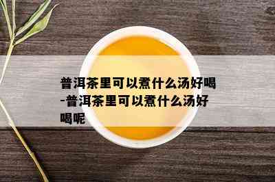 普洱茶里可以煮什么汤好喝-普洱茶里可以煮什么汤好喝呢