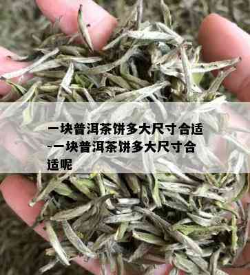 一块普洱茶饼多大尺寸合适-一块普洱茶饼多大尺寸合适呢