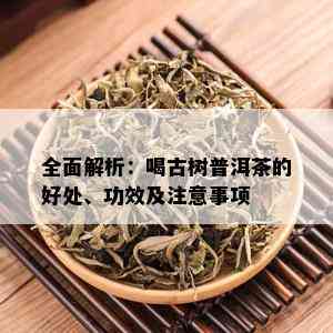 全面解析：喝古树普洱茶的好处、功效及注意事项