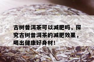 古树普洱茶可以减肥吗，探究古树普洱茶的减肥效果，喝出健康好身材！