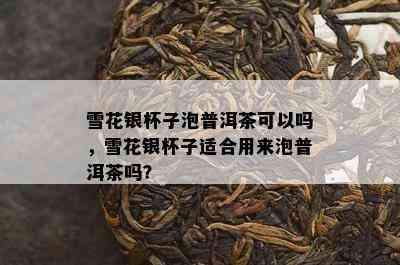 雪花银杯子泡普洱茶可以吗，雪花银杯子适合用来泡普洱茶吗？