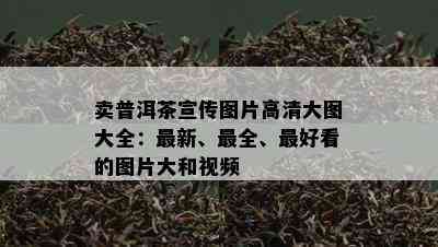 卖普洱茶宣传图片高清大图大全：最新、最全、更好看的图片大和视频