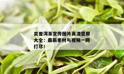 卖普洱茶宣传图片高清竖屏大全：最新素材与视频一网打尽！