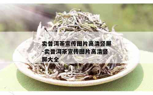 卖普洱茶宣传图片高清竖屏-卖普洱茶宣传图片高清竖屏大全