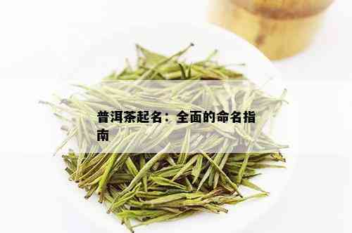 普洱茶起名：全面的命名指南