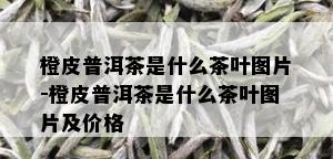 橙皮普洱茶是什么茶叶图片-橙皮普洱茶是什么茶叶图片及价格