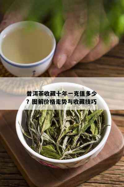 普洱茶收藏十年一克值多少？图解价格走势与收藏技巧