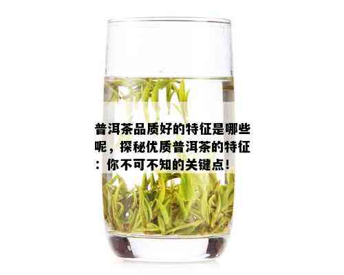 普洱茶品质好的特征是哪些呢，探秘优质普洱茶的特征：你不可不知的关键点！