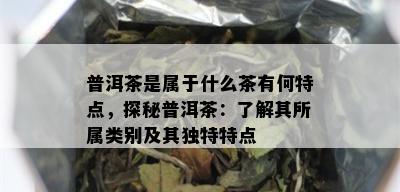 普洱茶是属于什么茶有何特点，探秘普洱茶：了解其所属类别及其独特特点