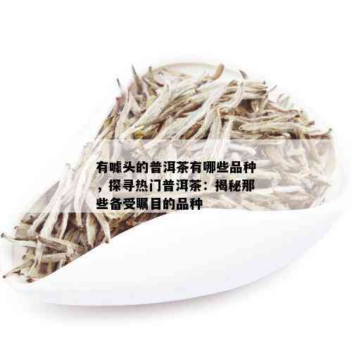 有噱头的普洱茶有哪些品种，探寻热门普洱茶：揭秘那些备受瞩目的品种