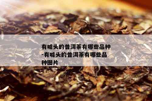 有噱头的普洱茶有哪些品种-有噱头的普洱茶有哪些品种图片