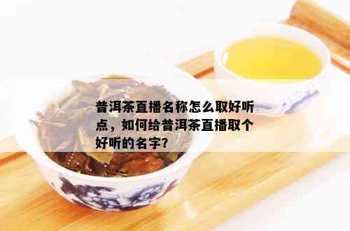 普洱茶直播名称怎么取好听点，如何给普洱茶直播取个好听的名字？