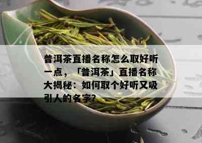 普洱茶直播名称怎么取好听一点，「普洱茶」直播名称大揭秘：如何取个好听又吸引人的名字？