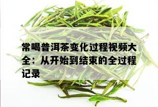 常喝普洱茶变化过程视频大全：从开始到结束的全过程记录