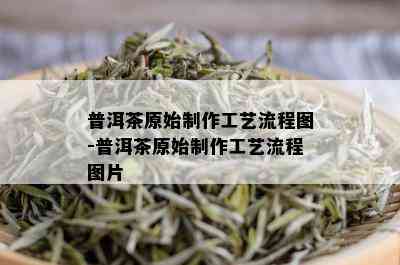 普洱茶原始制作工艺流程图-普洱茶原始制作工艺流程图片