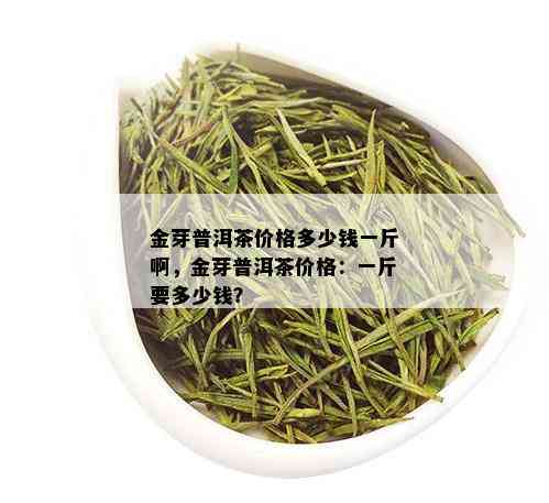 金芽普洱茶价格多少钱一斤啊，金芽普洱茶价格：一斤要多少钱？