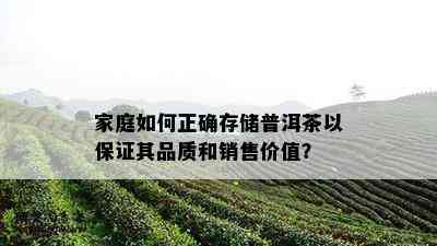 家庭如何正确存储普洱茶以保证其品质和销售价值？