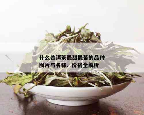 什么普洱茶最甜最苦的品种图片与名称、价格全解析