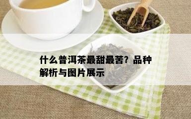 什么普洱茶最甜最苦？品种解析与图片展示