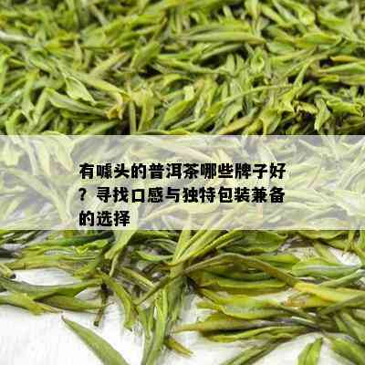 有噱头的普洱茶哪些牌子好？寻找口感与独特包装兼备的选择