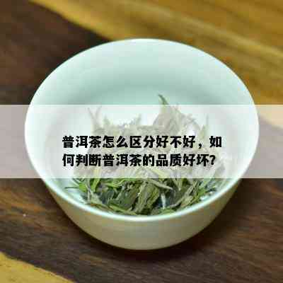 普洱茶怎么区分好不好，如何判断普洱茶的品质好坏？