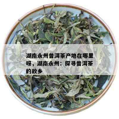 湖南永州普洱茶产地在哪里呀，湖南永州：探寻普洱茶的故乡