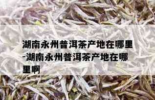 湖南永州普洱茶产地在哪里-湖南永州普洱茶产地在哪里啊