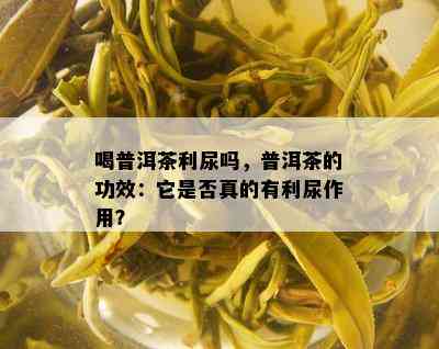 喝普洱茶利尿吗，普洱茶的功效：它是否真的有利尿作用？