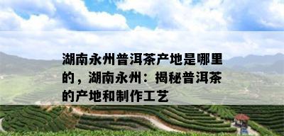 湖南永州普洱茶产地是哪里的，湖南永州：揭秘普洱茶的产地和制作工艺