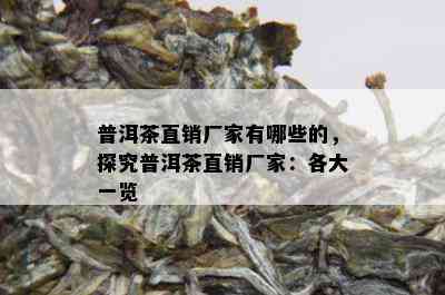 普洱茶直销厂家有哪些的，探究普洱茶直销厂家：各大一览