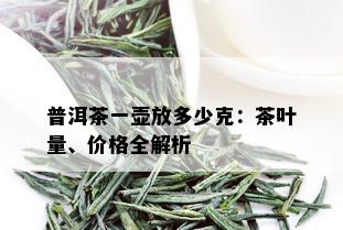 普洱茶一壶放多少克：茶叶量、价格全解析