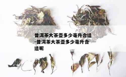 普洱茶大茶壶多少毫升合适-普洱茶大茶壶多少毫升合适呢